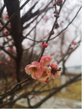 1644650180703340.png image.png