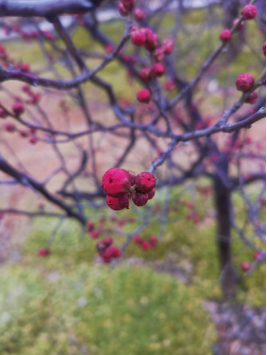 1644650261501613.png image.png